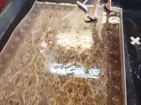 Gentle Genie Cleaning Process