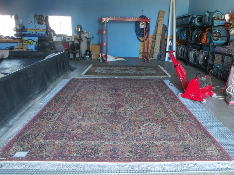 pet urine treatment oriental rug cleaning