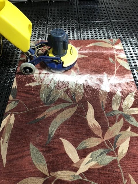 area rug cleaning tips