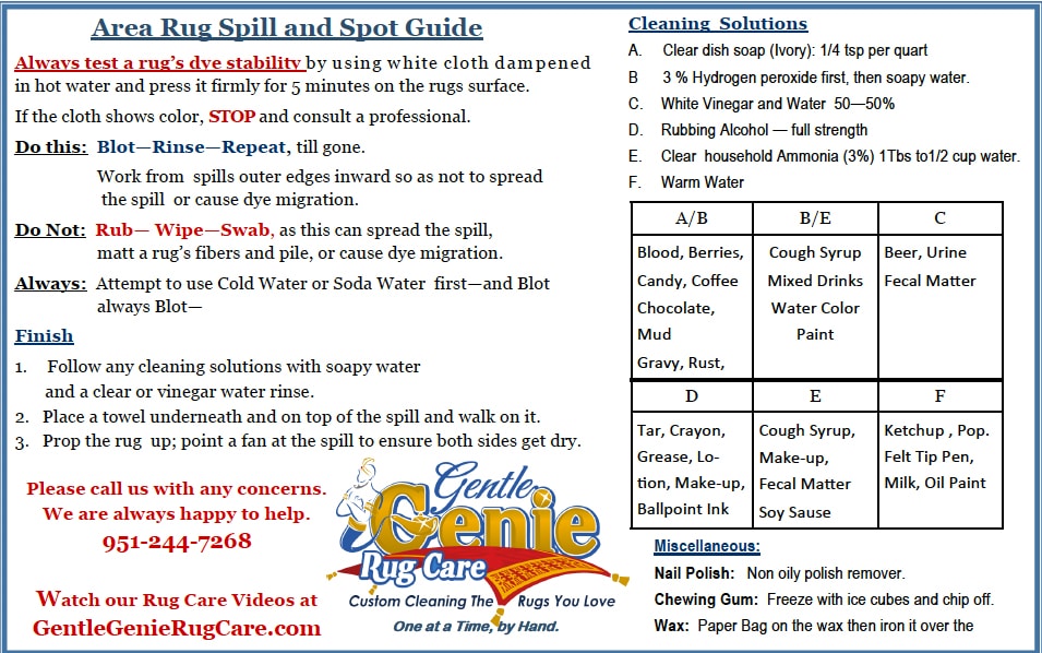 area rug spill and spot guide