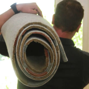 Gentle Genie Rug Care
